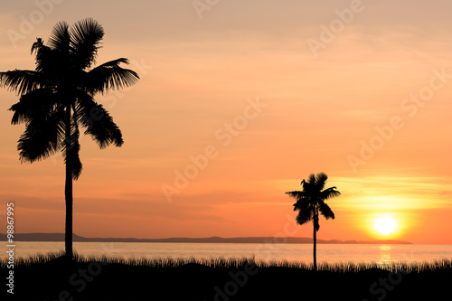 coconut trees and sunset background