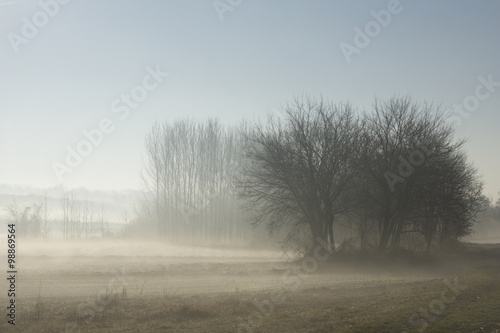 Morning dew on a Hungarian landscape