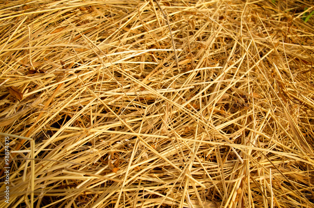 straw background