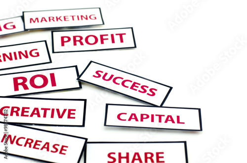 business motivation word CAPITAL, PROFIT, ROI, CREATIVE,SUCCESS, and SHARE  printed on paper with red color isolated on white background