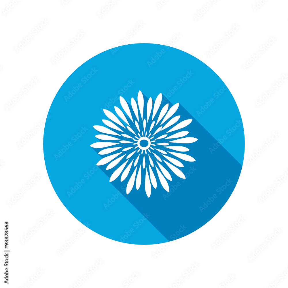Chrysanthemum flower icons. Floral symbol. Stock Vector Adobe Stock