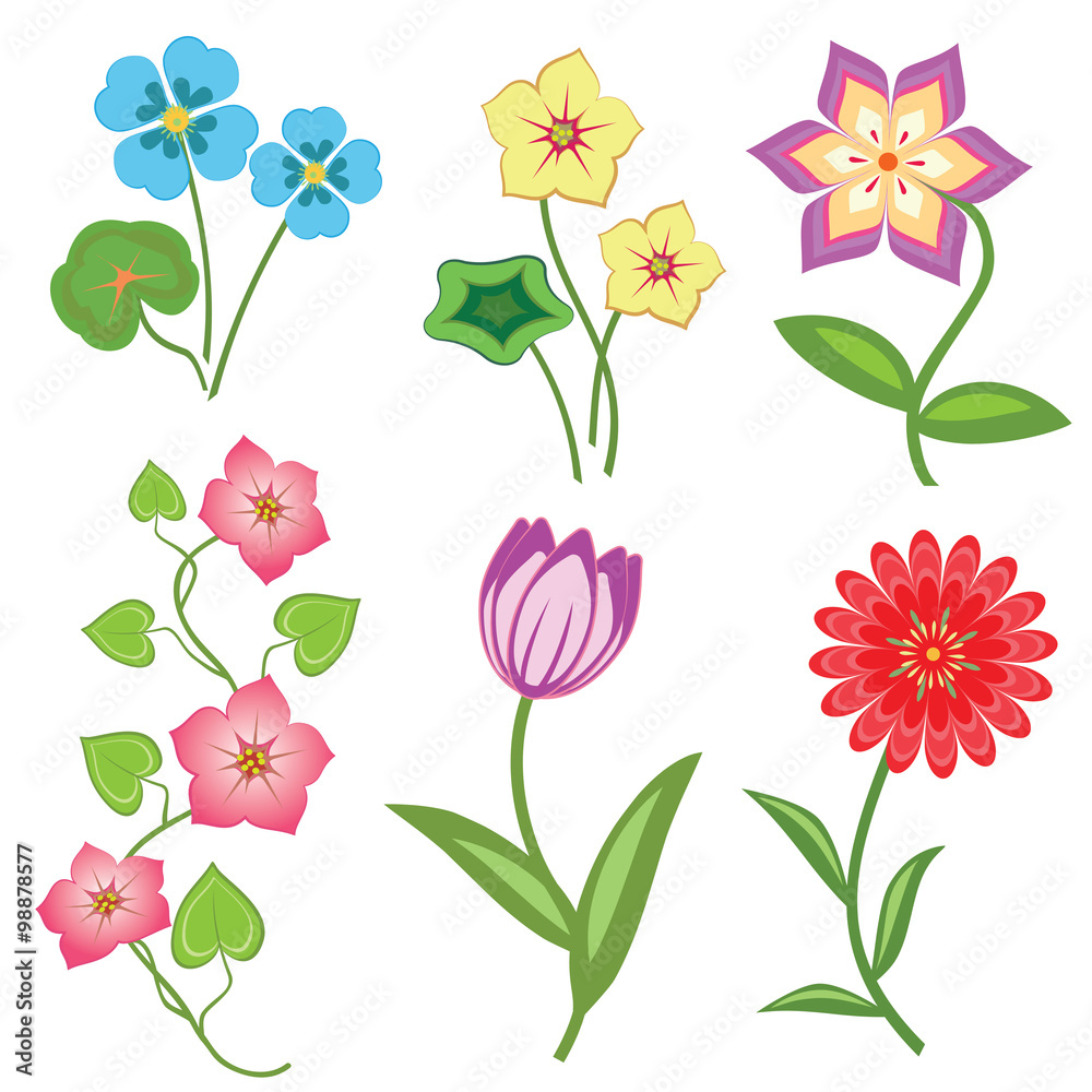 Flower set on white background. Camomile, orchid, chrysanthemum, daisy, tulip, bindweed. Colored floral symbols with leaves. Vector isolated