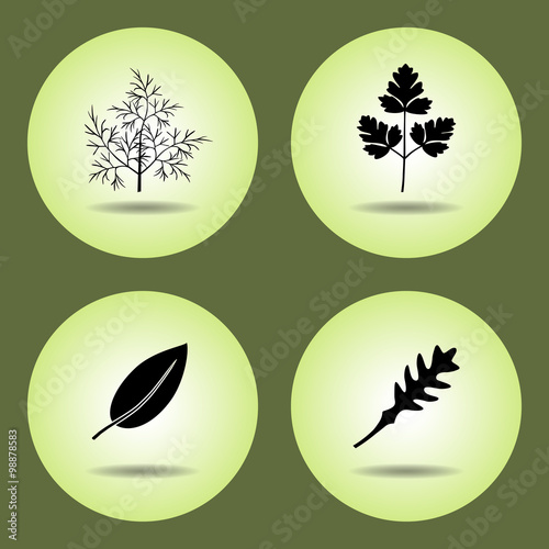 Food, herbs set. Parsley, laurel, rucola, dill icons. Black silhouette with shadow on light green background. Flat design. Vector isolated