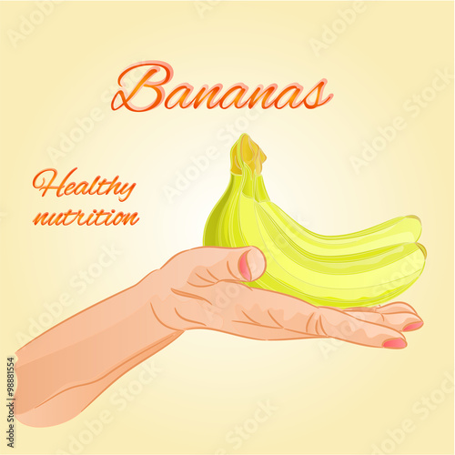 Bananas   in the palm of healthy nutrition vector