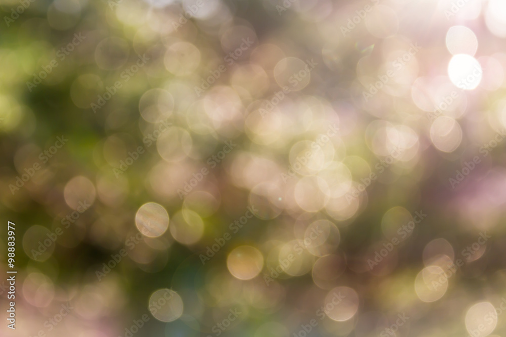 Glow light blow natural bokeh and sunlight in wonderful romantic Glow light blow natural bokeh and sunlight in wonderful romantic