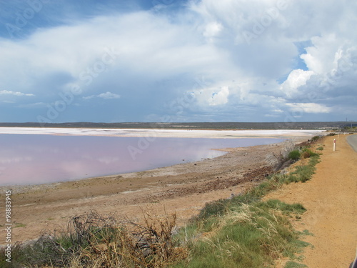 Fototapeta Naklejka Na Ścianę i Meble -  pink lake near kalbarri, western australia