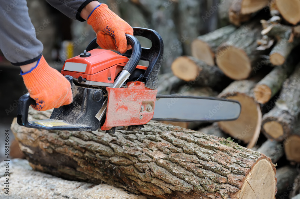 Chainsaw and tree Chainsaw and tree