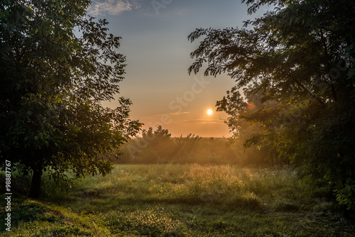 Sunrise over green meadow in Hungary, Europe