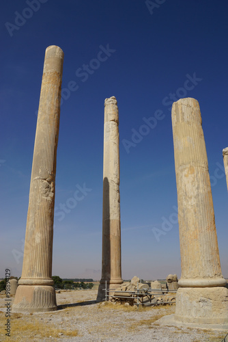 Part of the Hall of a Hundred Columns at Persepolis in Shiraz,