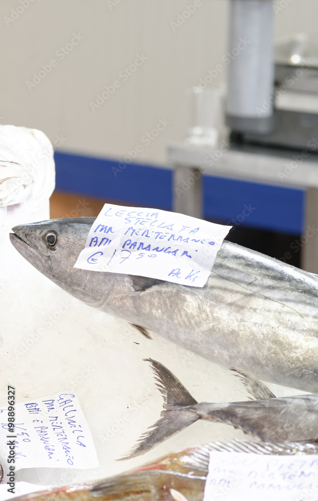 Naklejka premium tuna fish