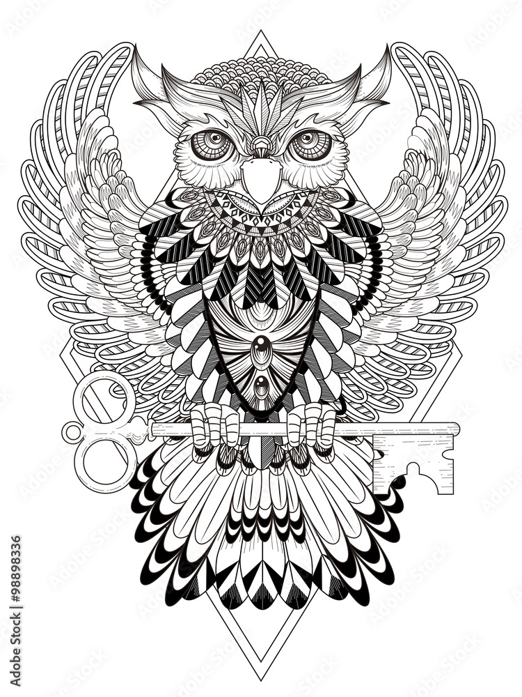 Fototapeta premium mysterious owl coloring page