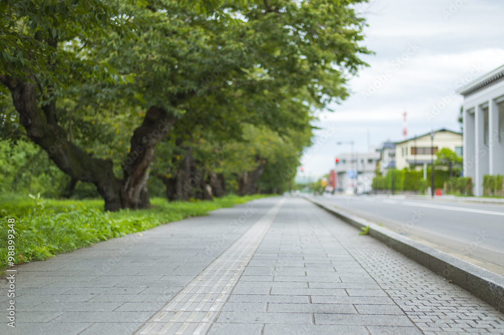 Bicycle lane and footpath in Japan