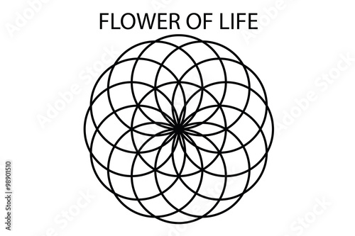 Flower of life vector