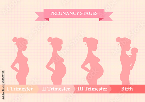 Pregnant woman - first, second and third trimester