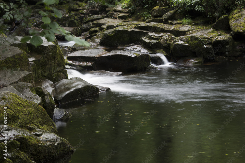 Waldfluss Waldfluss