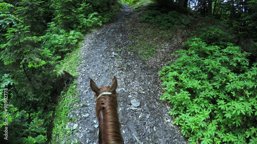 Astride on horse photo