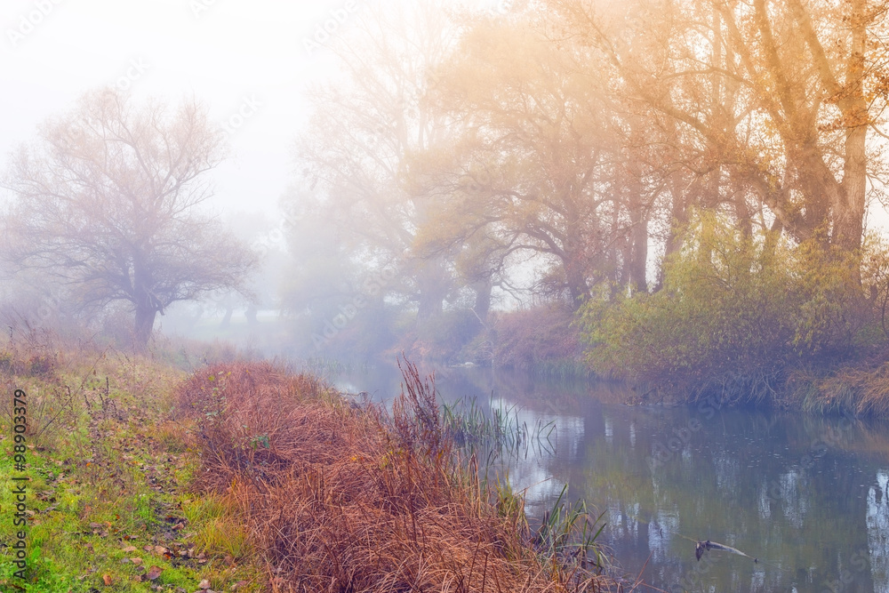 Fototapeta premium Beautiful foggy weather next to the river