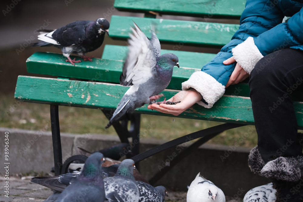 Fototapeta premium Girl feeding doves