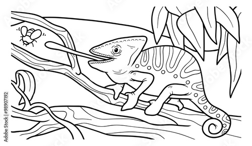 Coloring book for children (chameleon)
