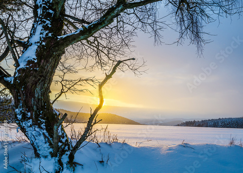 Winter-Landscape at sunset  HDR.   Low Mountain Range  Germany  touristic region in the middle of Germany called Rothaargebirge. 