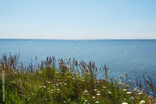 Summer time at Baltic sea.