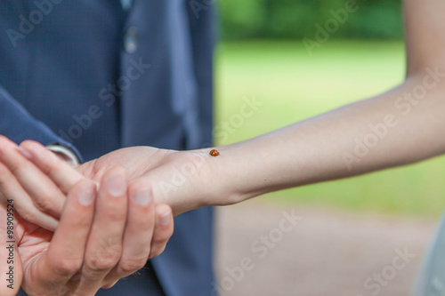 Marienkäfer auf einem Arm 