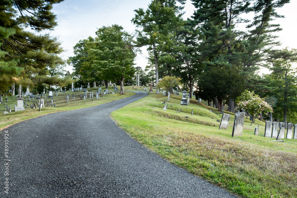 road in a cemetery 