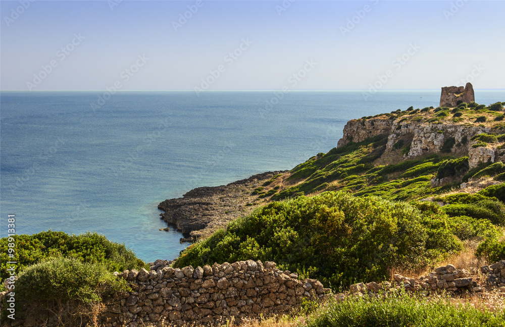 APULIA LANDSCAPE. Park of Porto Selvaggio (Nardò): Uluzzo watchtower.(Salento) Italy.Salento is dotted with watchtowers as always it has been the subject of  invasions and saks by the Turks.
