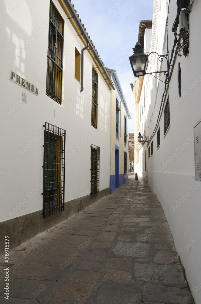 Narrow alley in Cordoba