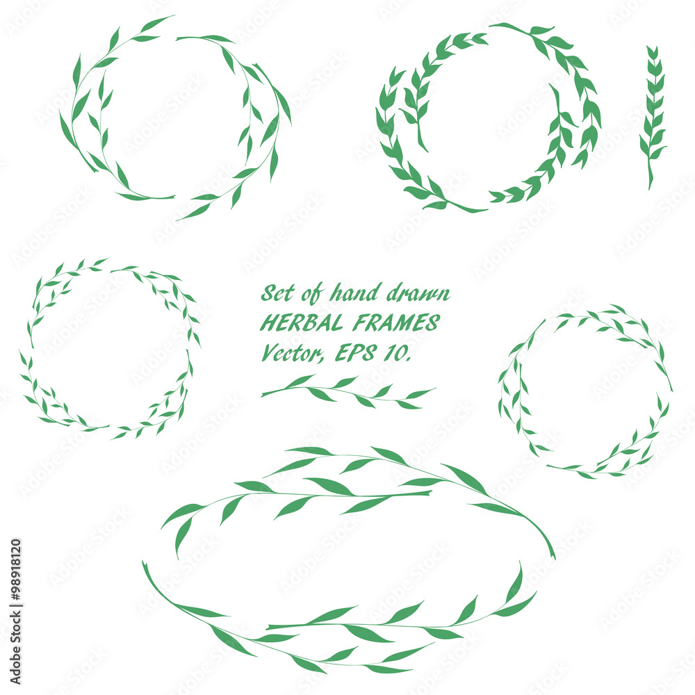 Obraz premium Set of hand drawn round floral framework of willow branches and blades in the doodle sketch style. Vector, EPS 10.