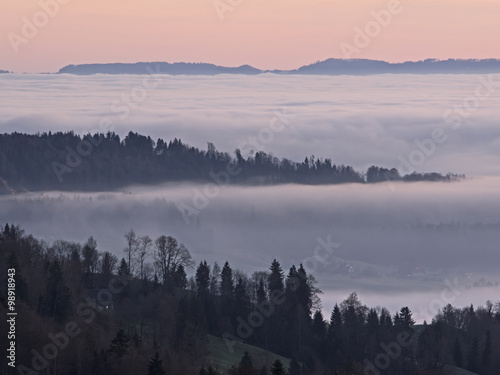 Misty morning, Nebelstimmung bei Sonnenaufgang © scubaluna