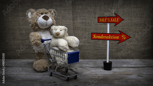 Teddy geht Shoppen photo