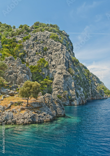 rocky island with trees and turquoise blue waters