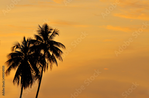 silhouette of coconut trees during beautiful sunset