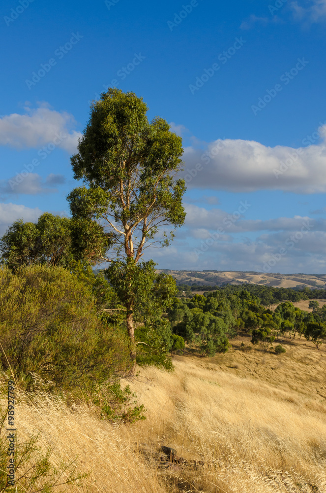 Cloudy Australian rural landscape with hills in background