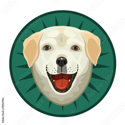 each Labrador dog/ Labrador dog good friend dog is calm, kind and attentive to the world.