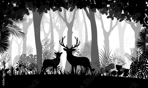 Forest background with wild deer of trees