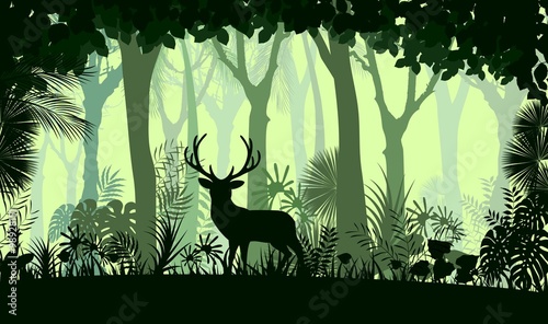 Forest background with wild deer of trees