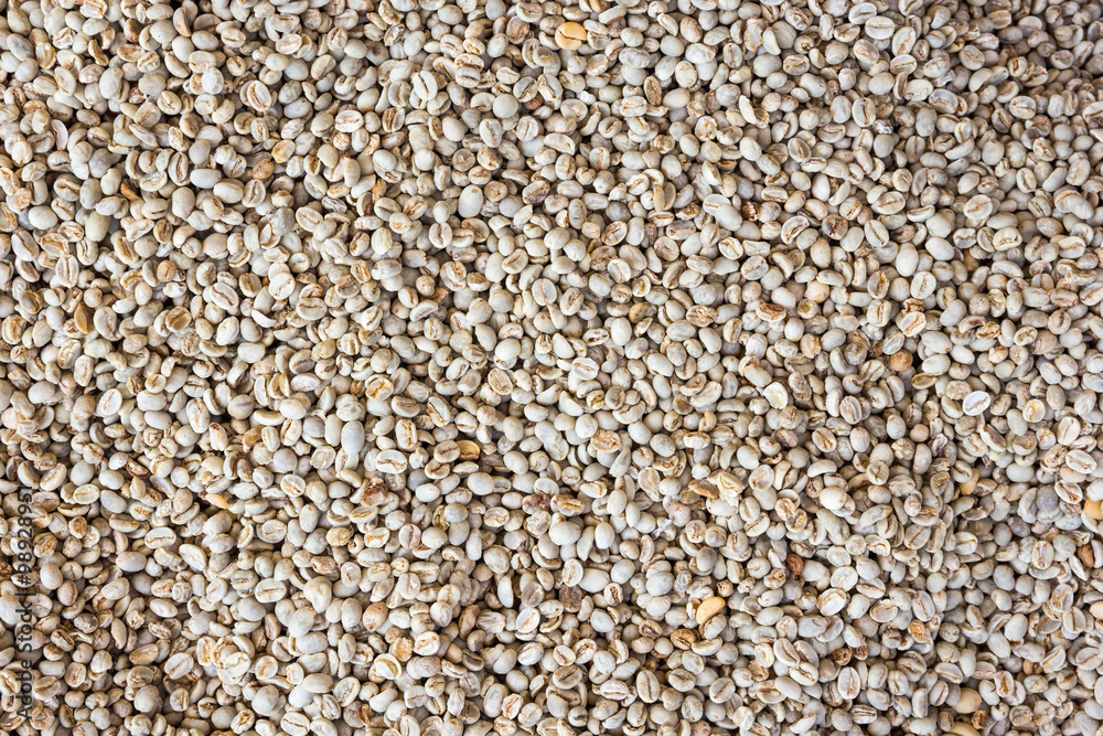green coffee beans