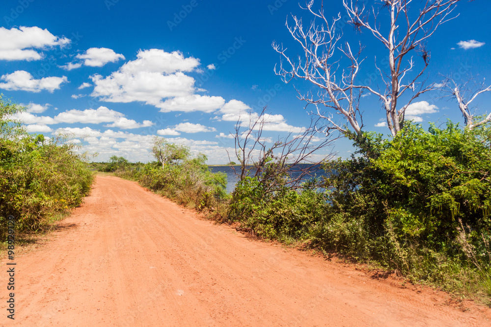Country road in Nature Reserve Esteros del Ibera, Argentina