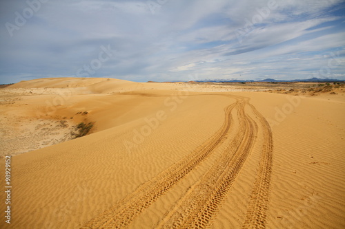 Wheel track in sand dune