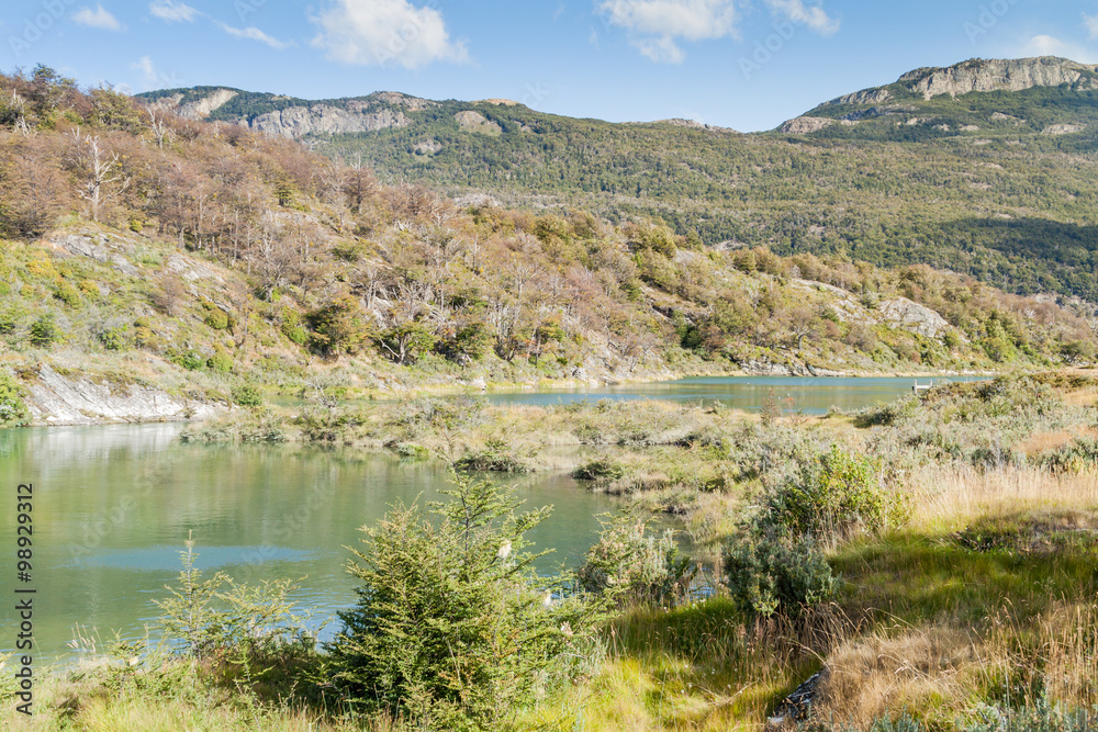 National Park Tierra del Fuego, Argentina