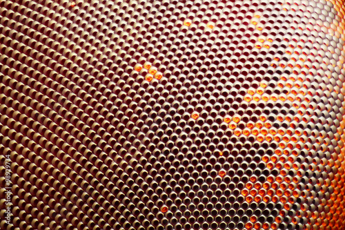 Extreme sharp and detailed fly compound eye surface taken at extreme magnification with microscope objective stacked from more photos into one sharp photo photo