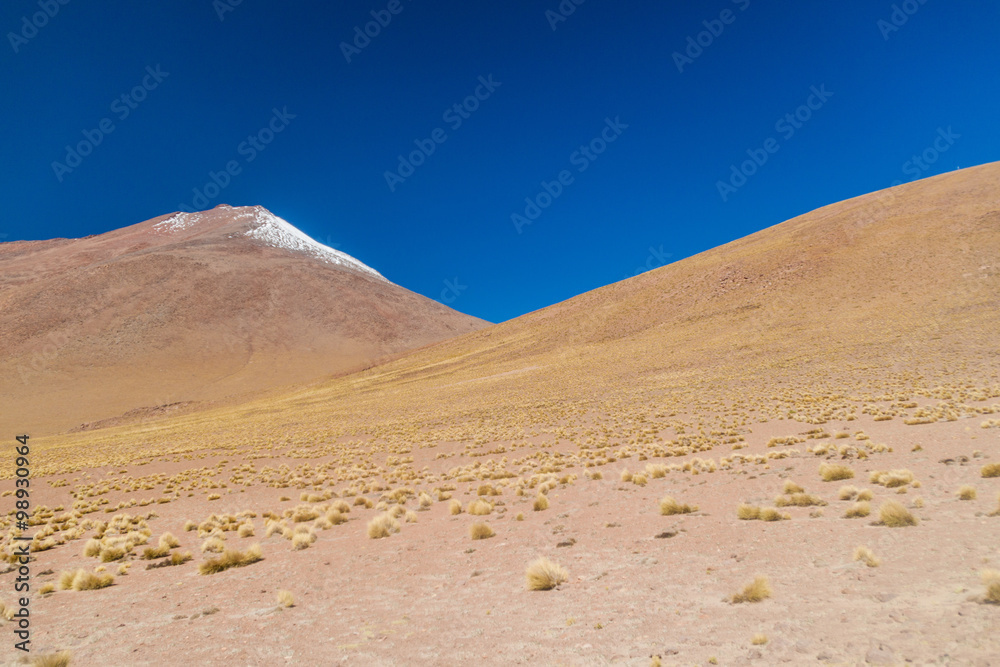 Bare landscape of bolivian Altiplano