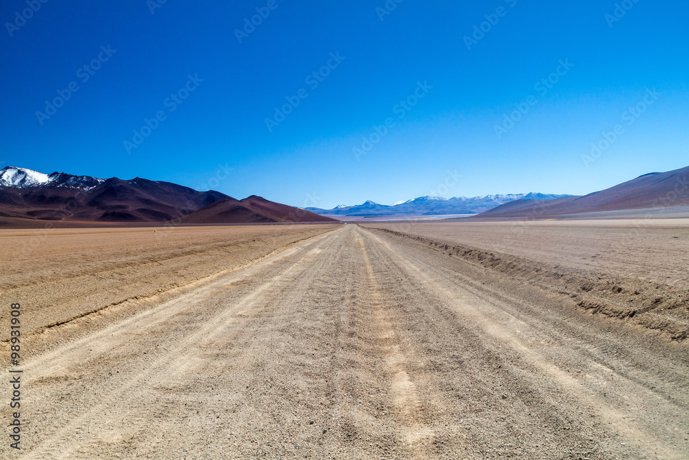 Dust road in Salvador Dali Desert in Eduardo Avaroa Andean Fauna National Reserve, Bolivia