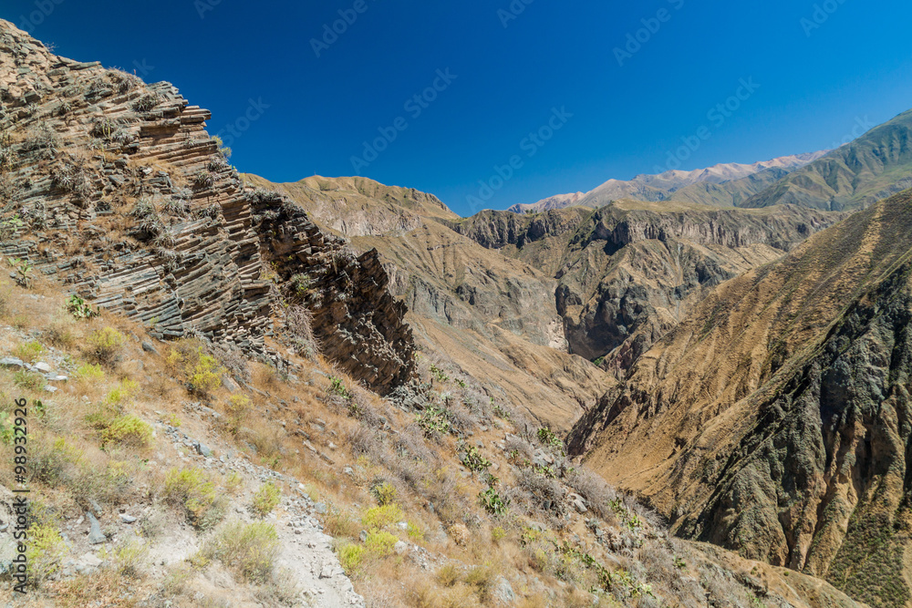 Colca canyon in Peru