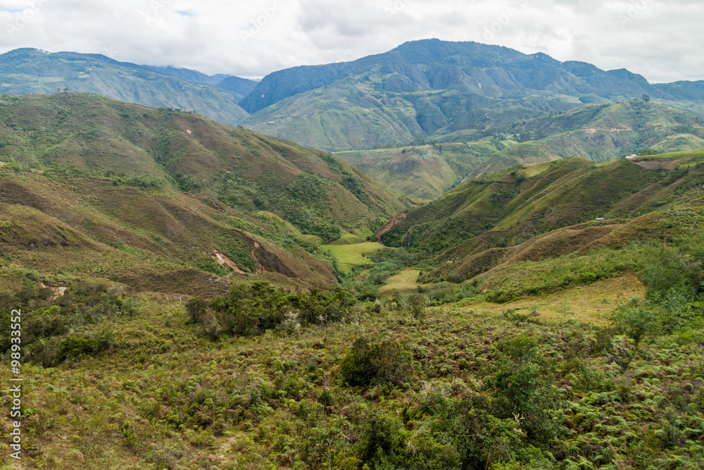Fototapeta premium Countryside in cloud forest mountains around Leymebamba, northern Peru.