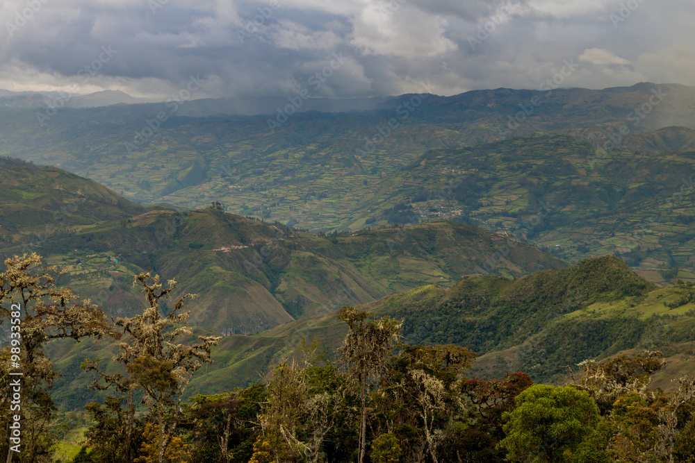 Countryside in cloud forest mountains around Leymebamba, northern Peru.