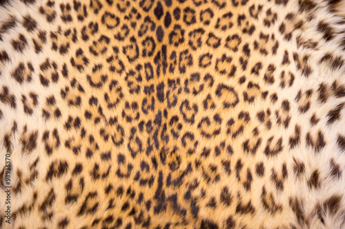 asian leopard skin texture and background