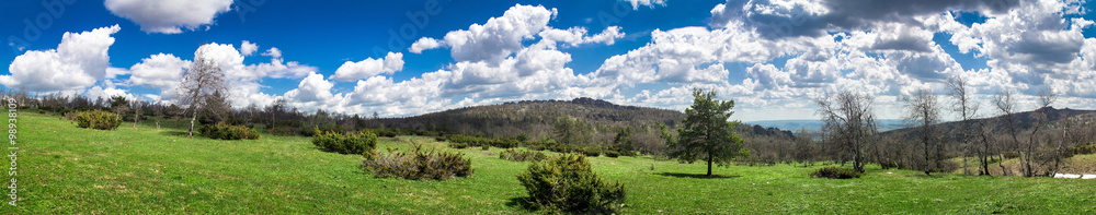Panorama of the lush green spring meadows and trees Panorama of the lush green spring meadows and trees